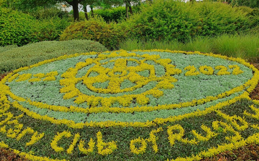 Celebrating 100 Years Of Rugby Rotary Club