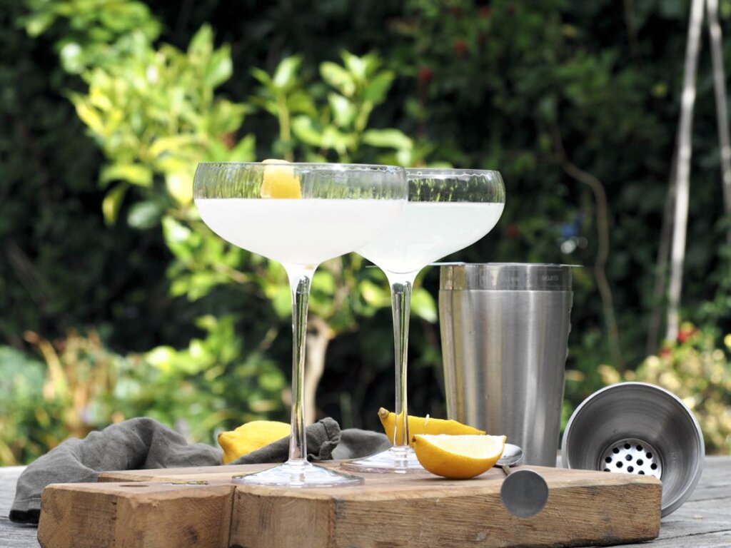 Rugby Distillery Lemon Fizz